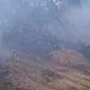 Edirne'de ormanlık alanda çıkan yangın söndürüldü