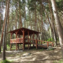 Ardahan'da ormanlara giriş yasaklandı