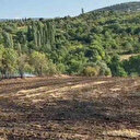Karabük'te anız yangını çıktı: Çiftçilerin ve ekiplerin yoğun çabasıyla söndürüldü
