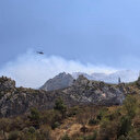 Hatay'da orman yangını