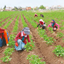12 bin kişiye istihdam desteği