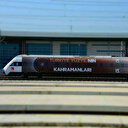 "15 Temmuz Demokrasi ve Milli Birlik Treni" yola çıktı