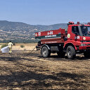 Kastamonu'da çıkan anız yangınında 40 dekar tarım alanı zarar gördü