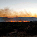 İzmir haberleri: Aliağa'da otluk alandaki yangın kontrol altına alındı