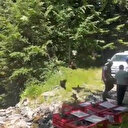 Bursa'da kene ile mücadele timleri doğaya salındı