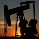 OPEC'in ham petrol üretimi haziranda günlük 220 bin varil arttı