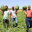 Türkiye'nin en lezzetlisi: Tadını bereketli topraklar ile dağlardan eriyen karlardan alıyor