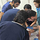 Elazığ'da bir kene vakası daha