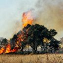 Çanakkale ve Tekirdağ orman yangınında son durum: Yangınlar söndürüldü mü?
