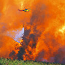 Şarköy’de alevlerle savaş