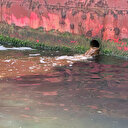 Bakanlıktan Yalova'da denize atık su deşarj eden tersaneye 3 milyon 739 bin lira ceza