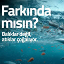 Sıfır Atık Vakfı: Cam ve plastik atıklar ormanlar için tehdit oluşturuyor