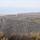 Tekirdağ'da çıkan orman yangını kısmen kontrol altına alındı