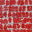 Türkiye'nin kırmızı altını: Güneşte pişiyor, tüm dünya bu lezzetin peşinde