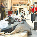 Dürzi planında üç hedef: Böl-parçala-yönet stratejisi