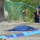 Yürümekte güçlük çekiyordu: Yere düşen 54 yaşındaki adam kafasını taşa vurup öldü