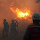 Alevler Çeşme'yi sardı: Ziraat alanında başlayıp ormana sıçrayan yangına müdahale ediliyor