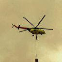 Uşak'ta orman yangını