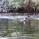 Eskişehir haberleri: Sakarya Nehri'ne giren 2 kişi boğuldu