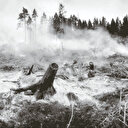 Osmanlı orman yangınlarıyla nasıl baş etti?