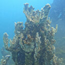 Van Gölü yeni keşif: 70 metrelik mikrobiyalit