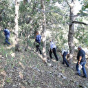 Köylüler başında nöbet tutuyor: Koparıldığında 557 bin 212 lira ceza uygulanıyor