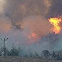 Sakarya’da başlayan yangın Bilecik’e sıçradı