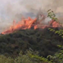 Başakşehir'de ormanlık alanda yangın