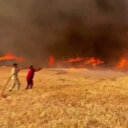 Sakarya'da başladı Bilecik'e sıçradı: Orman Genel Müdürü'nün telefonuna yansıyan görüntü yangın hortumunu andırdı