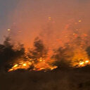 Bilecik orman yangınında son durum 23 Temmuz: Alevler yeniden yükseldi