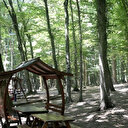 Denizli'de ormanlık alanlara girişler ikinci duyuruya kadar yasaklandı