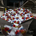 Sivas'ta üretilip 32 ülkeye ihraç ediliyor