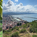 Doğu Karadeniz’in fındık gelirinde lider Giresun