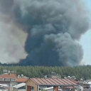 İzmir Gaziemir'de orman yangını