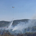 Muğla'da  tarım alanında yangın
