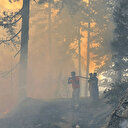 Bakan Kurum: Dört ildeki orman yangınında 87 bağımsız birim hasar aldı