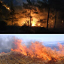 Vali Gül duyurdu: İstanbul'da orman yangını tedbiri