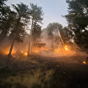 Antalya ve Manisa'daki orman yangınları kontrol altına alındı