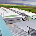 Yumurta firmasına FETÖ soruşturması kapsamında kayyum atandı