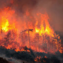 Bakan Kurum: Toplam 104 birim ağır hasarlı