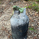 Sakarya Hendek’teki orman yangınının sebebi belli oldu