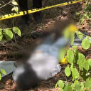 Sarıyer'de korkunç olay: Ormanlık alanda başına çöp poşeti geçirilip bantlanmış erkek cesedi bulundu