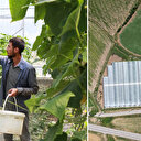 Devlet desteğiyle kurdu: Erzincanlı genç girişimci modern çiftlikte büyük işler başarıyor