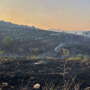 Diyarbakır’da merada başlayan yangın ormanlık alana yayıldı