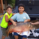 Tekirdağ’da amatör balıkçı 38 kiloluk sazan yakaladı
