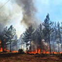 Karabük'teki orman yangını söndürüldü mü, son durum nedir?