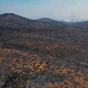 Bursa Harmancık'ta kontrol altına alınan yangın sonrası dron görüntüleri acı tabloyu gözler önüne serdi