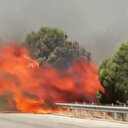 Alevler Çeşme yolunda ilerliyor: İzmir'de ekiplerin müdahalesi devam ediyor