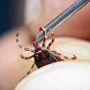 Bolu'da KKKA hastalığı şüphesiyle tedavi gören kişi öldü