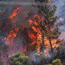 SON DAKİKA YANGIN HABERLERİ: Alevler Çeşme otoyolunu sardı! İzmir Ödemiş, Çeşme orman yangınında son durum ne? İşte tahliye edilen mahalleler